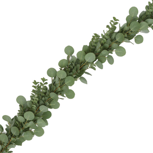 GUIRLANDE DE FEUILLES D'EUCALYPTUS MÉLANGÉES 70,5 po VERTES