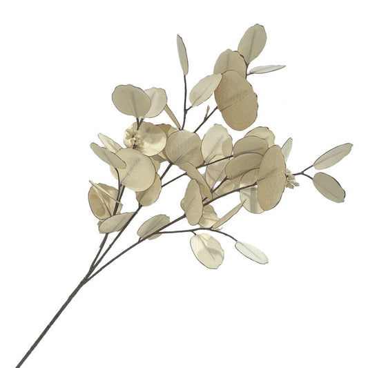 Eucalyptus Branches - Cream