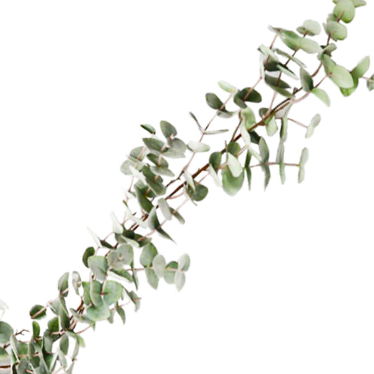 EUCALYPTUS GUIRLANDE 1,80 m VERT/NATUREL