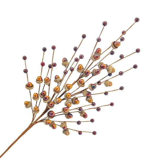 Branche de glands