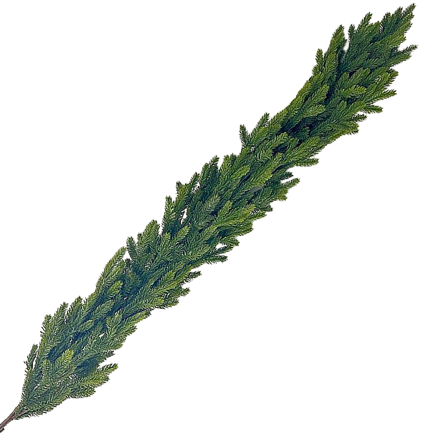 Guirlande de sapin 60 po
