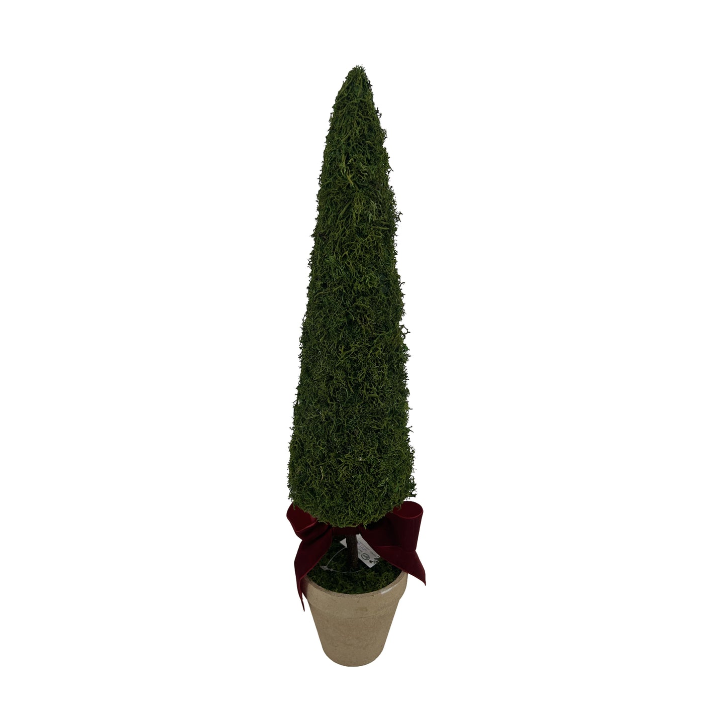 Sapin en mousse avec boucle et pot - 22 po