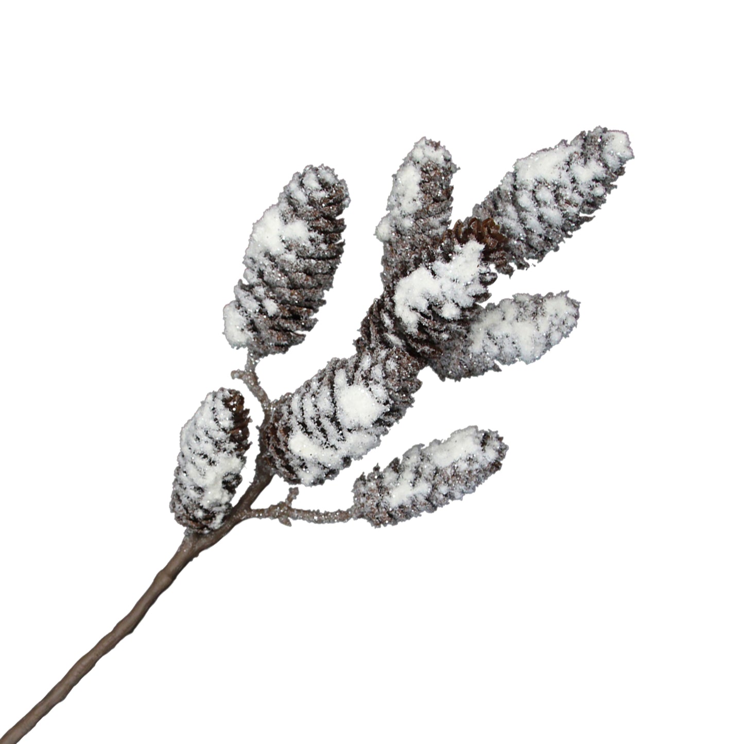 Branche de pomme de pin enneigée