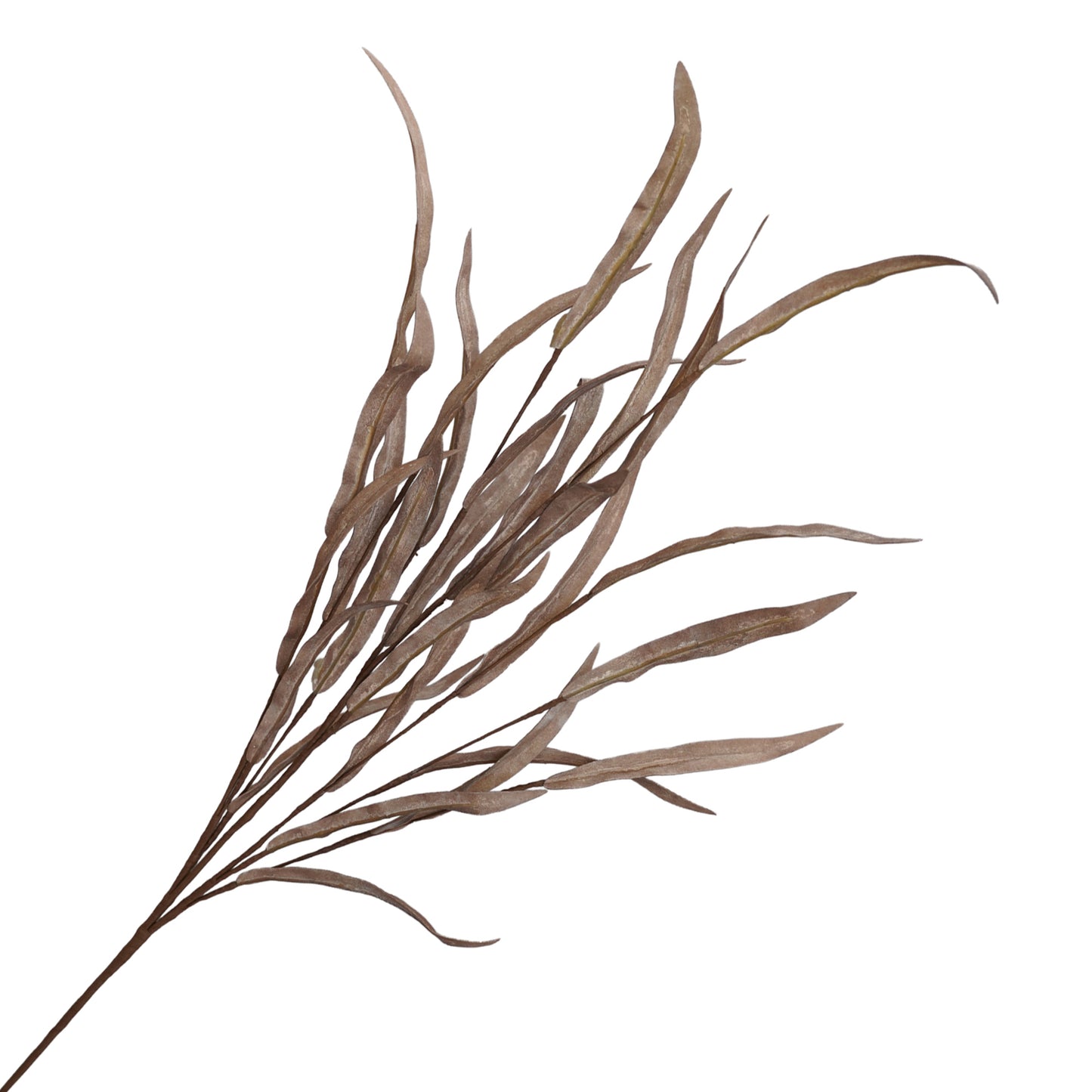Branche de feuilles de saule - brun