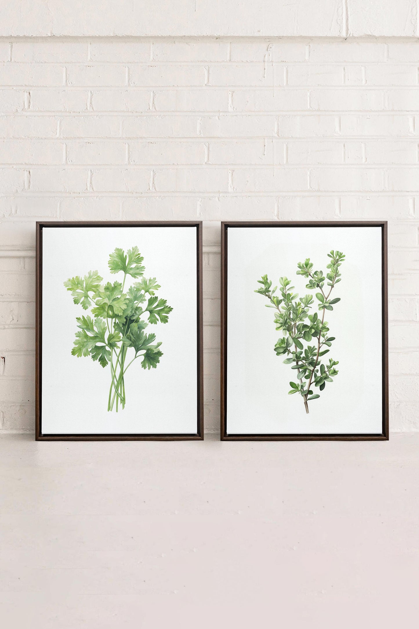 DUO FINES HERBES (2 Oeuvres sur toile étirée)